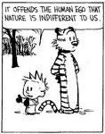 Frame one from March 4, 1994